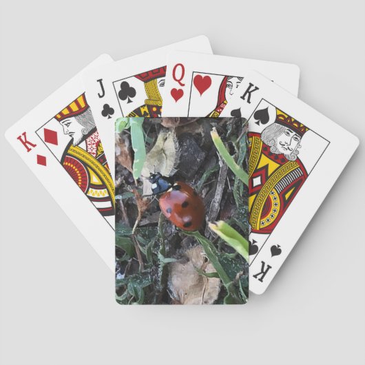 Dame Spielkarten (Rückseite)