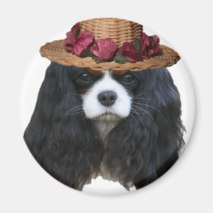 Dame Tansy Magnet