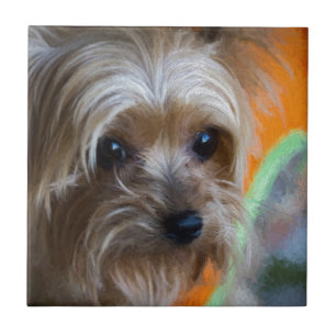 Dame Yorkshire Terrier Fliese
