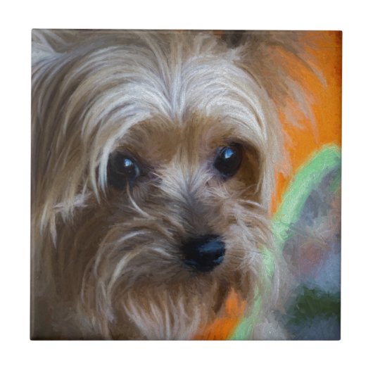 Dame Yorkshire Terrier Fliese (Vorderseite)