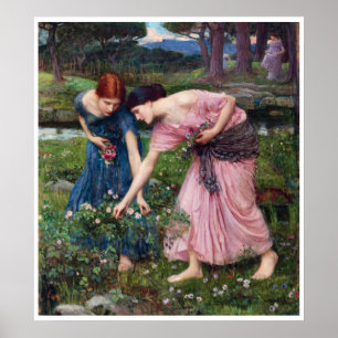 Damen beim Rosenpflücken, John William Waterhouse Poster