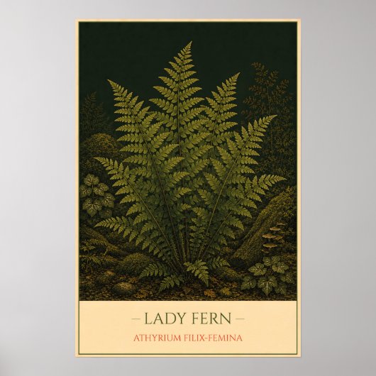 Damenfarn – Vintage botanische Illustration Poster (Vorne)