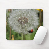 Damenkäfer - Marienkäfer auf Löwenzahn Mousepad (Mit Mouse)