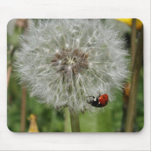 Damenkäfer - Marienkäfer auf Löwenzahn Mousepad