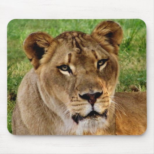 Damenmousepad Mousepad (Vorne)