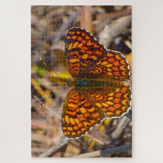 Damero Knapweed Butterfly. Puzzle (Vertikal)