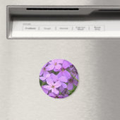 Dame's Rocket Wildblume Nah Magnet (In Situ (Geschirrspüler))