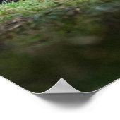 Damhirsch Poster (Ecke)