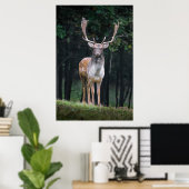 Damhirsch Poster (Heimbüro)