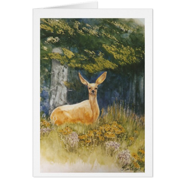 Damhirschkuh-Augen (Vorne)