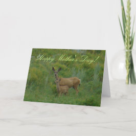 Damhirschkuh und Kitz des Maultierhirsch-D5 Karte