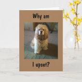 DAMIT "65" UND IMMER NOCH "21" SEHEN, SO VERLAUF!  KARTE (Gelbe Blume)