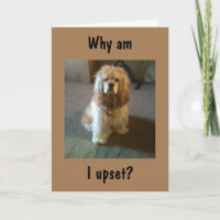 DAMIT "65" UND IMMER NOCH "21" SEHEN, SO VERLAUF! 