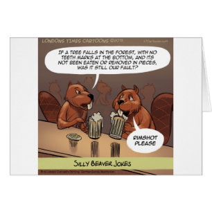 Dämliche Biber Witze Lustiger Cartoon