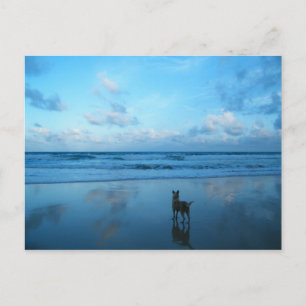 Dämmerung an Karon Strand, Phuket-Insel Postkarte