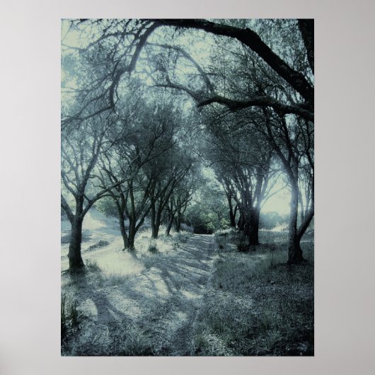 Dämmerung Poster (Vorne)