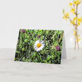 Dämmung Karte (Gelbe Blume)