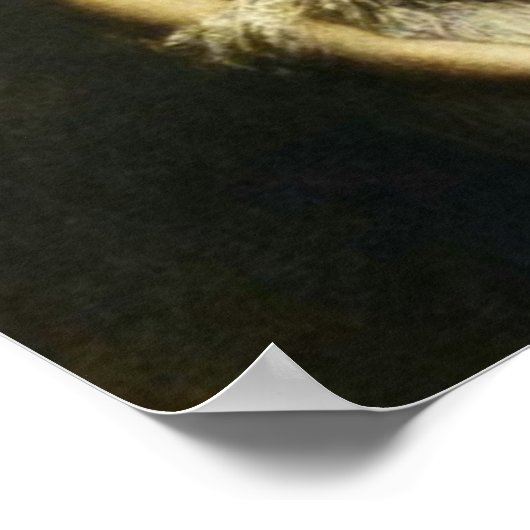 Damnation des Faust Poster (Ecke)