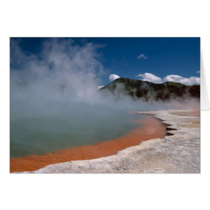 Dampf aufsteigend aus dem Champagne Pool in WAI-O-