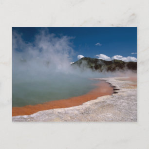 Dampf, der von Champagne-Pool an WAI-O-TAPU steigt Postkarte