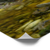 Dampf im Wald, Knysna-Amatole Montane Poster (Ecke)