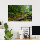 Dampf im Wald, Knysna-Amatole Montane Poster (Heimbüro)
