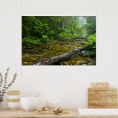 Dampf im Wald, Knysna-Amatole Montane Poster (Küche)