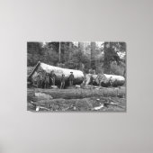 Dampf-Logging in den Kaskaden des Washingtoner Sta Leinwanddruck (Vorderseite)