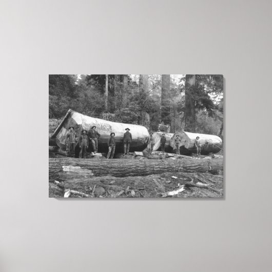 Dampf-Logging in den Kaskaden des Washingtoner Sta Leinwanddruck (Vorderseite)