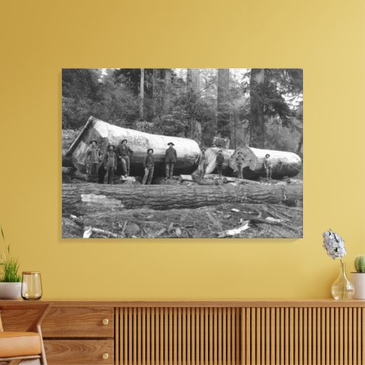 Dampf-Logging in den Kaskaden des Washingtoner Sta Leinwanddruck (Insitu (Wohnzimmer))