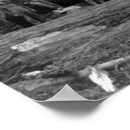 Dampf-Logging in den Kaskaden des Washingtoner Sta Poster (Ecke)