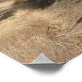 Dampf-Motor in Sun-Poster Poster (Ecke)