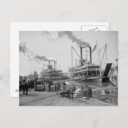 Dampfboote in Vicksburg, 1910 Postkarte (Vorne/Hinten)