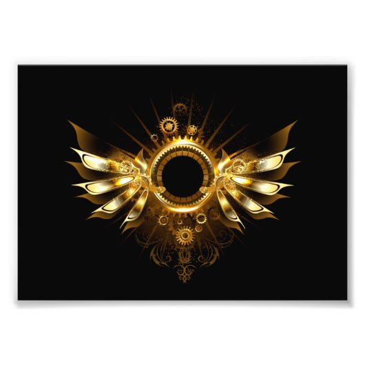 Dampfflügel Fotodruck (Vorne)