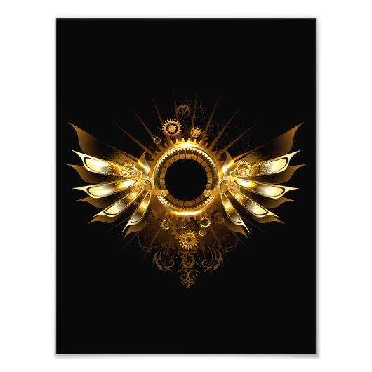 Dampfflügel Fotodruck (Vorne)