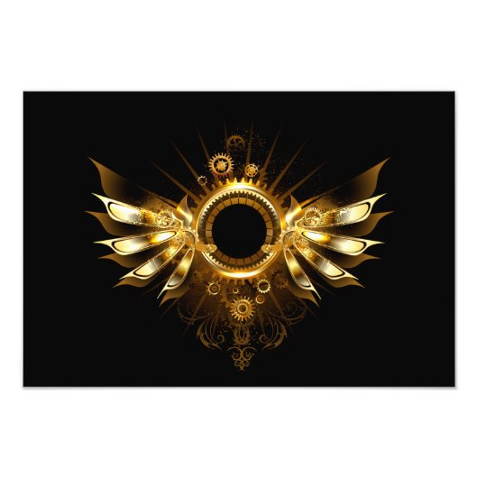 Dampfflügel Fotodruck (Vorne)