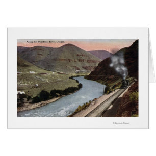 Dampflokomotiven auf Schiene