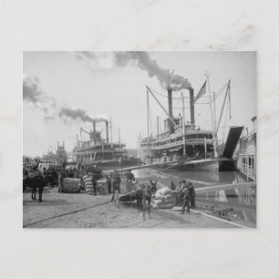 Dampfschiffe in Vicksburg, 1910 Postkarte