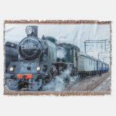 Dampfzug 11 Sprungdecke Decke (Vorderseite)