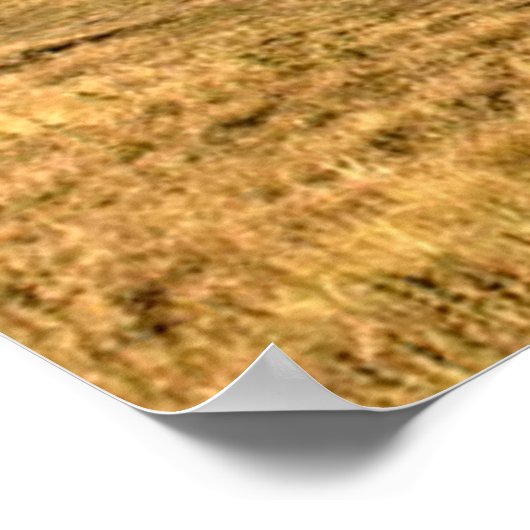 Dampfzug auf dem Land (4022) Poster (Ecke)