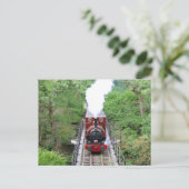 Dampfzug - Bahn Tal-y-Lyn - Postkarte (Stehend Vorderseite)