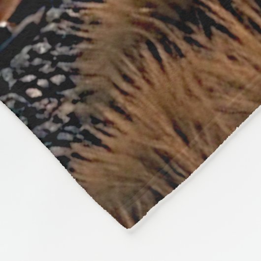 Dampfzug Motor im Sturm Fleecedecke (Ecke)