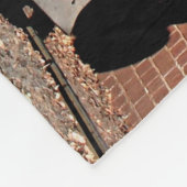 Dampfzug-Motorlokomotive, Australien Fleecedecke (Ecke)