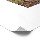 Dampfzug nach Silverton Poster (Ecke)