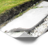 Dampfzug Zebedee Poster (Ecke)