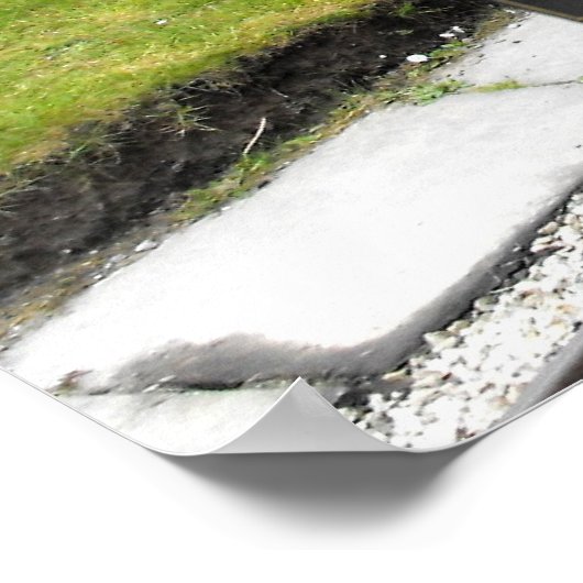 Dampfzug Zebedee Poster (Ecke)