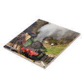 DAMPFZÜGE FLIESE (Seite)