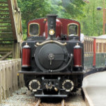 DAMPFZÜGE FLIESE<br><div class="desc">Wales, das Land der kleinen Dampfzüge. Ein wunderschön erhaltener roter Zug und grüne Waggons voller Passagiere.</div>