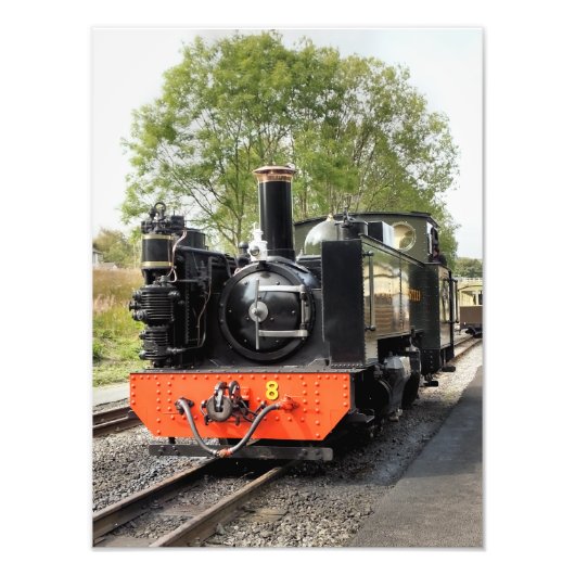 DAMPFZÜGE FOTODRUCK (Vorne)