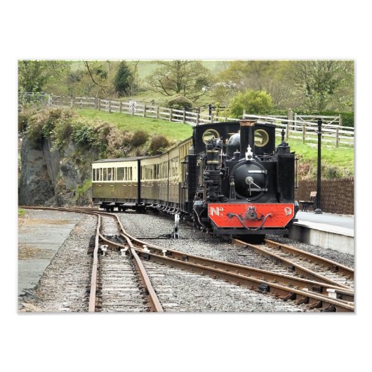 DAMPFZÜGE FOTODRUCK (Vorne)